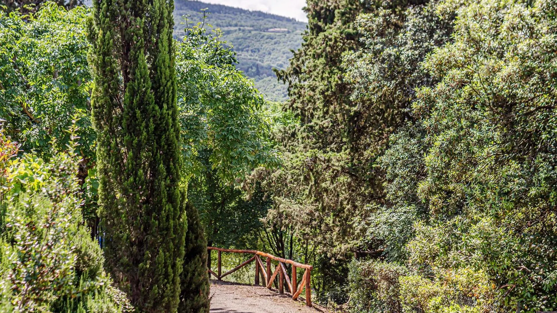 Roibooking Appartamento Butterfly Con Terrazza Arezzo 0*,  Italia